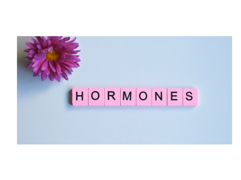 Why Menopause Changes Your Metabolism (and What Actually&nbsp;Helps)